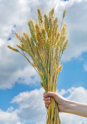 Similar image 2879609