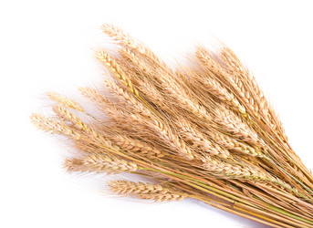 Similar image 2879610