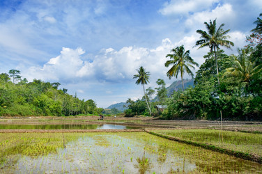 Similar image 2879629