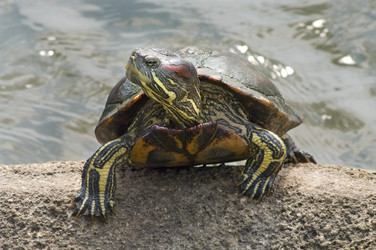 Similar image 2879633