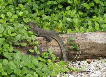 Similar image 2879648