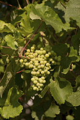 Similar image 2879718