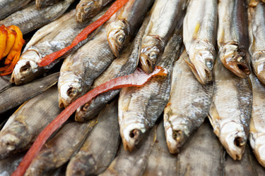 Similar image 2879732