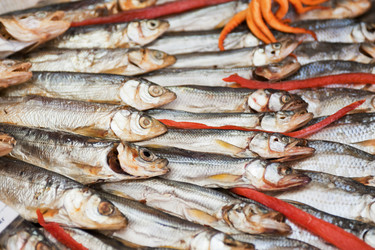 Similar image 2879811