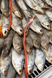 Similar image 2879850