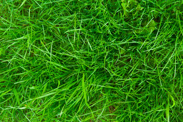 Similar image 2879858