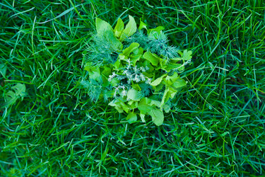 Similar image 2879884