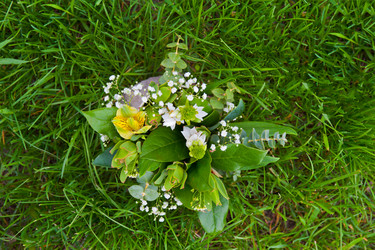 Similar image 2879939