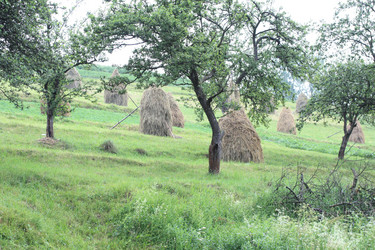 Similar image 2880104