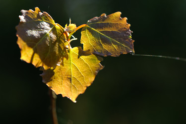 Similar image 2880142