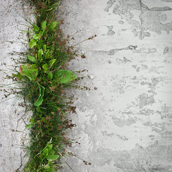 Similar image 2880156