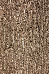 Similar image 2880157