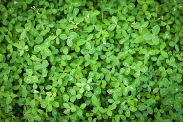 Similar image 2880158