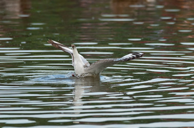 Similar image 2880170