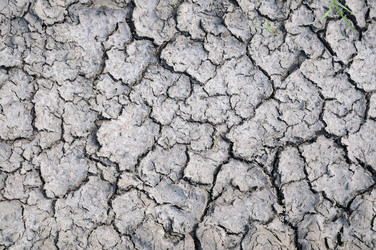 Similar image 2880173