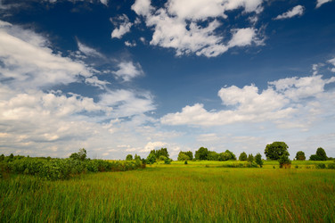 Similar image 2880175