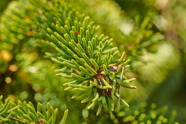 Similar image 2880181