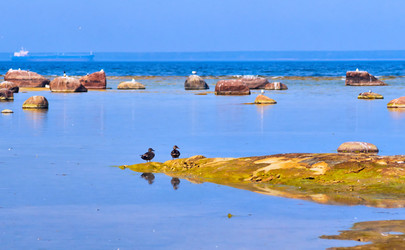 Similar image 2880183