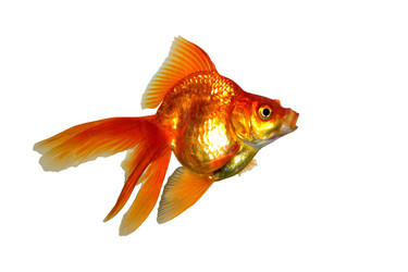 Similar image 2880188