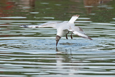 Similar image 2880191