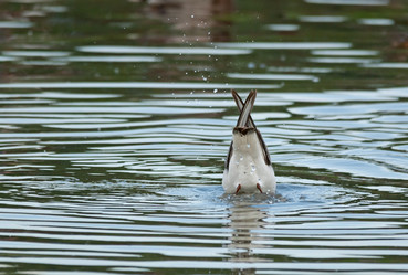 Similar image 2880192