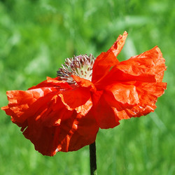 Similar image 2880198