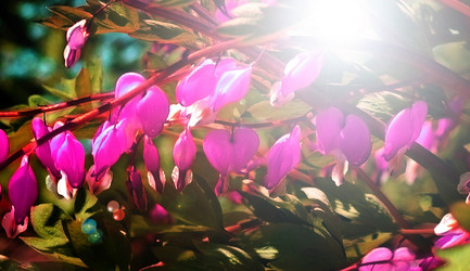 Similar image 2880200