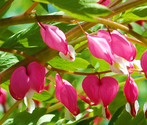 Similar image 2880201