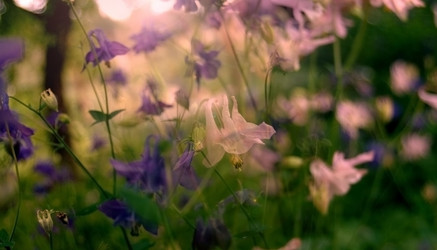 Similar image 2880202