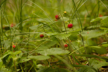 Similar image 2880250