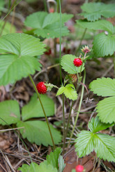 Similar image 2880251