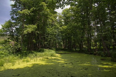 Similar image 2880253