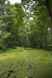 Similar image 2880258