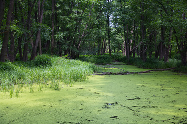 Similar image 2880259