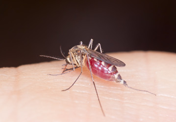 Similar image 2880272