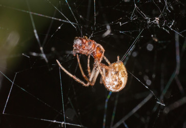 Similar image 2880273