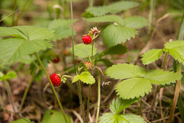 Similar image 2880293