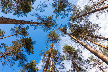 Similar image 2880306