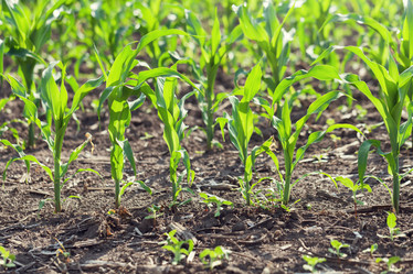 Similar image 2880333