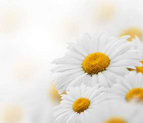 Similar image 2880339