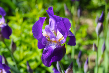 Similar image 2880360