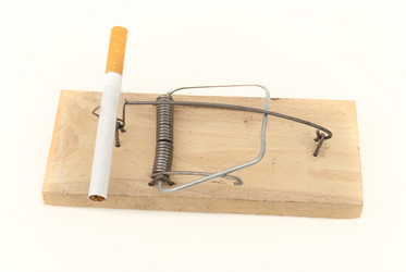 Similar image 2880554