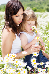 Similar image 2880689