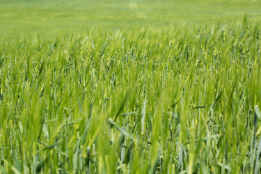 Similar image 2880698