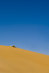 Similar image 2880789