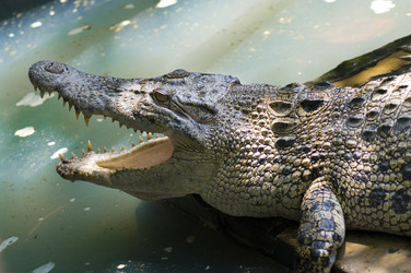 Similar image 2880804