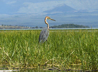 Similar image 2880837