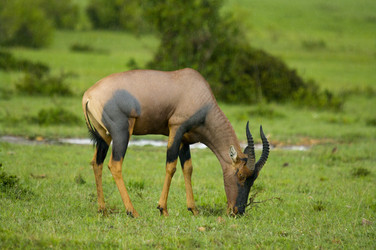 Similar image 2880864