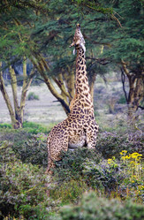 Similar image 2880865