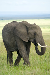 Similar image 2880866